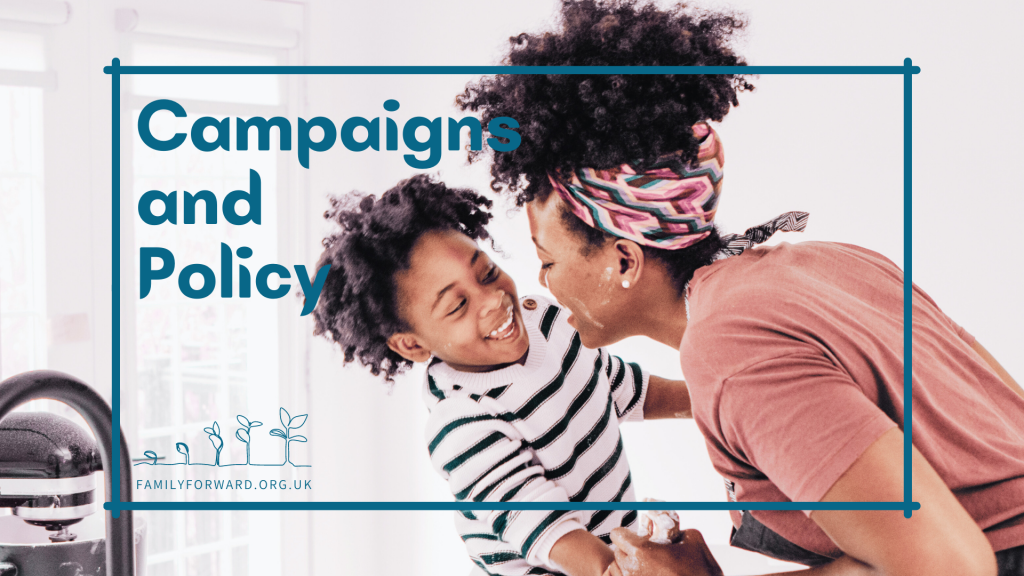 Campaigns and Policy